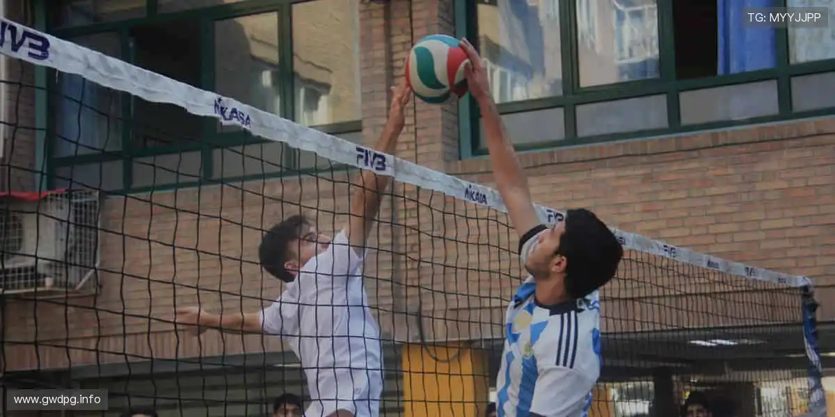 🎮 互动直播，你的主场你做主！